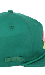 ALLIGATOR CAP